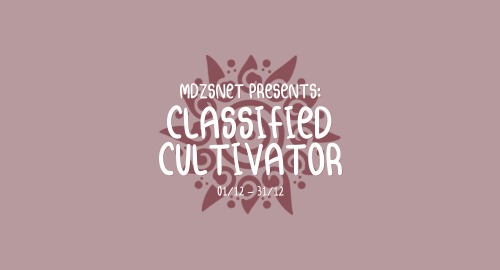 mdzsnet:MDZS Network presents the Classified Cultivator event!The end of the year is right around th