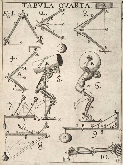 lindahall:  Plates from De motu animalium. Pars prima. 1680, by Giovanni Alfonso Borelli. Borelli applied mechanics to the study of motion in animals.