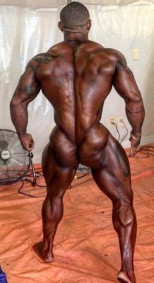 musclebull23:  