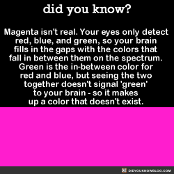 did-you-kno:    Magenta isn’t found anywhere on the visible color spectrum. It doesn’t even have a wavelength. Basically, it’s just the absence of green. Source