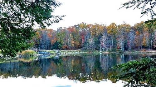 fuxit:  My aunt sent me these from her hike, I miss Ohio during the fall, it’s so beautiful😟🙊 