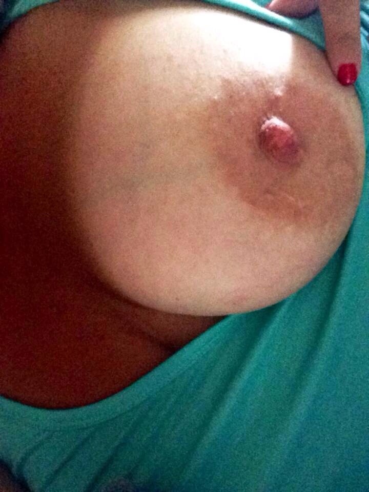 seekingasanctuary:  Hump Day Peek.