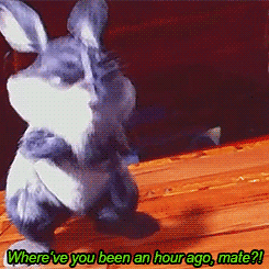 loakspider:  Baby Bunnymund appreciation; more like adorable grumblebum I love how