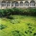 imagenreligiosa:1five1two:Four centuries old Topiary in the cloister garden at Pazo