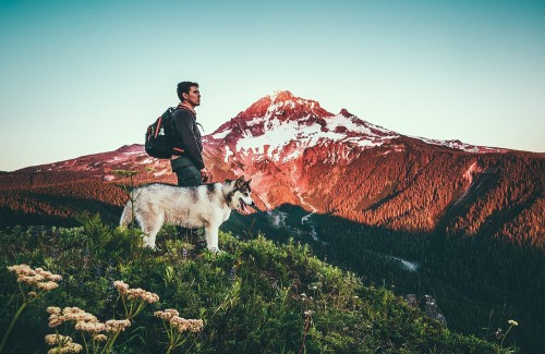 an-adventurers:Mt. Hood, Oregon