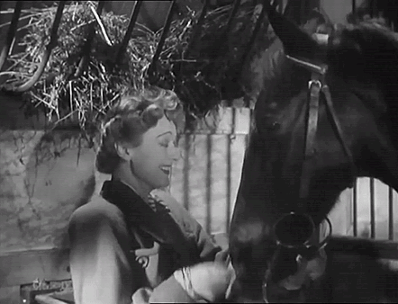 Something About Edwige Petting A Horse Just Has Me In Another Dimension