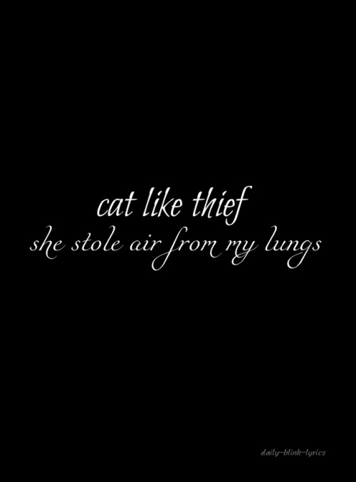 daily-blink-lyrics:cat like thief, box car racer