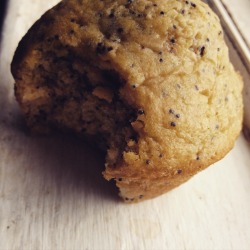 fatassvegan:  thatfunnygirllauren:  fatassvegan:  🌱 reason number bajillion why muffins are the greatest—totally portable grab-and-go lunch on a busy day. (recipe saturday)  ARE THESE LEMON POPPYSEED? (my fav kind of muffin)  why yes they are :)