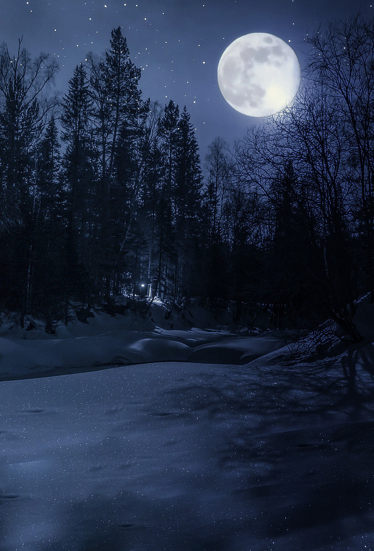 hellocoraco:“In winter the stars seem to have rekindled their fires, the moon achieves
