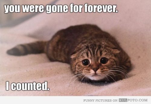 brattiestbabyprincess:  When @alexinspankingland has a life and you don’t  My life is mostly full of sinus pain and antibiotics right now, lol! 💖