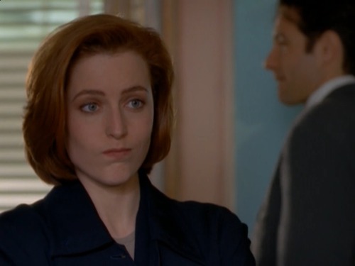 neornithes:Scully’s “why is this my life” face: a compilation from episode 4x20