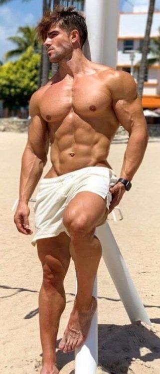 muscle-beach-party:BEACH BOY MUSCLE STUD