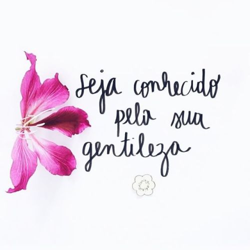 amorporvoce