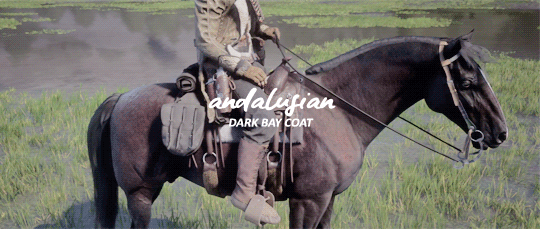 breathstill:  red dead redemption 2 horse breeds: andalusians are powerful, compact war horses. they