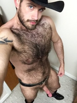 jockbearlvr:  Hairy as fuck cowboy. That hairy bush smells musky 