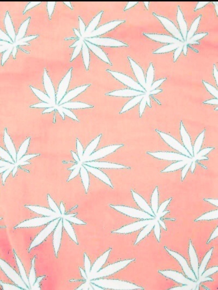 mrs-420:  tagged by my love stonedkitsune to do the cameral roll aesthetic. This