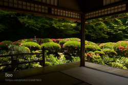 socialfoto:  Garden in Kyoto Shisen-do by