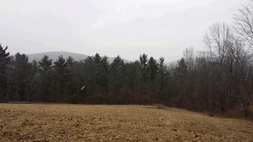 theapprenticeterra:I hope this gif works. I shot this one very cold day last week when I was out hun