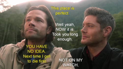 nothingidputbeforeyou: Carry On with captions for the wincest-impaired