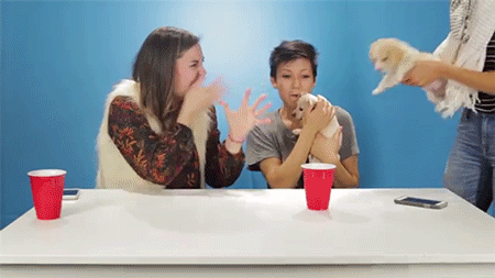 sizvideos:  Watch drunk people getting surprised by puppies 