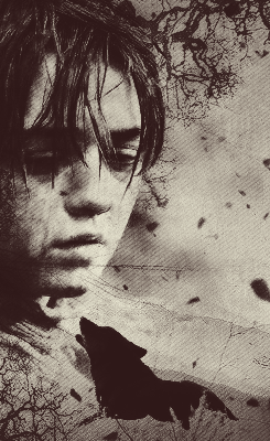 aryaxgendry:  ❝ Sometimes in the deep of night, the howling of wolves could be