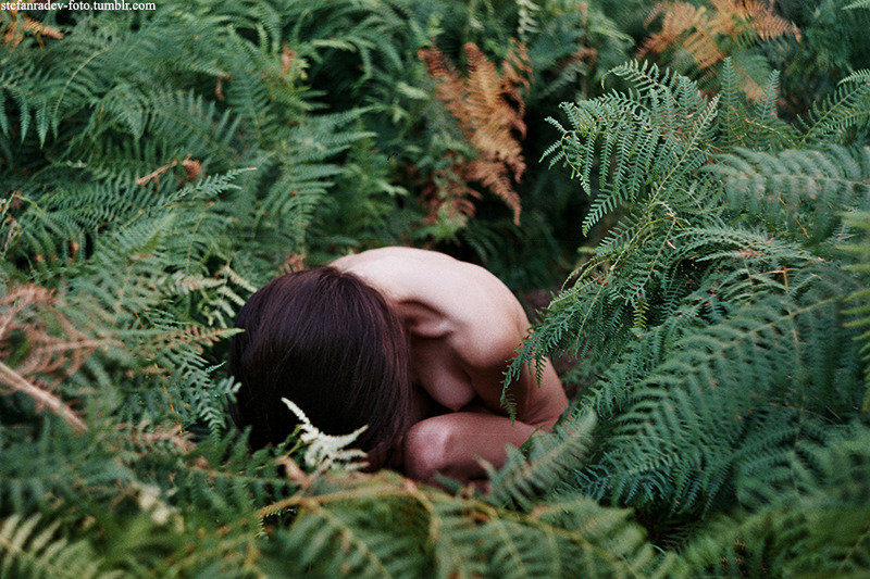 petyagencheva:  by Stefan Radev Adventures in the green (please keep the credits