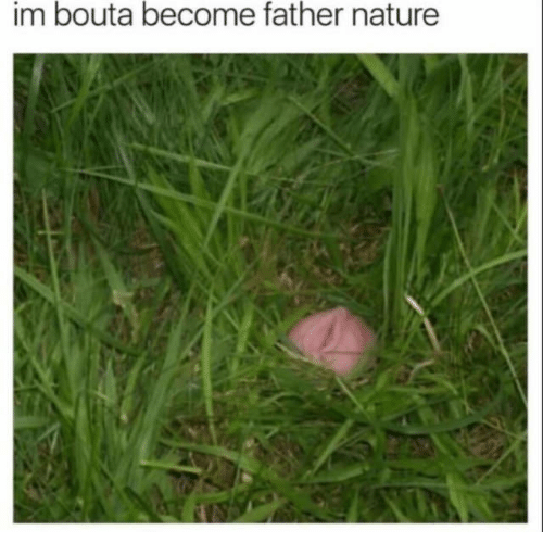 hypermasc: homoplusx:  