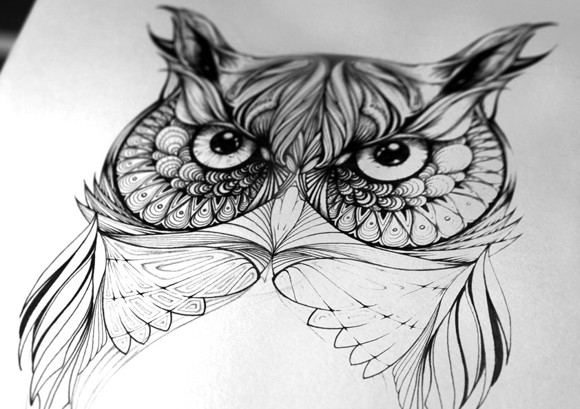 fer1972:  Greg the Owl by Greg Coulton 