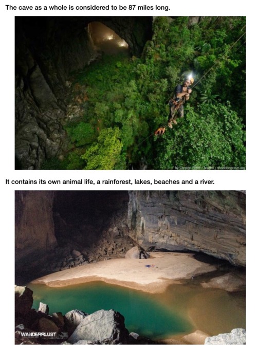 wigmund:  howling-rising-demon:  shameless-stinkhorn:  libertariantimes:(x)  It’s like something out of the Jumanji cartoon.  Are you kidding me this is El Dorado  You can take a virtual tour of the cave, going as far as one can without the need for