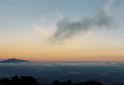 Just like honey - Kodak Gold, Minolta Dynax 5000i - Mont Bromo, Indonesia - February 2018 