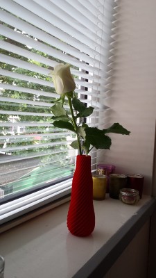 “i know you’re not into getting flowers but i 3d-printed this vase and it seemed silly not to put something in it”