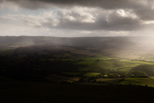 ardley: The Quantock Hills, Somerset UK 2020 (Series overview)Photographed by Freddie Ardley