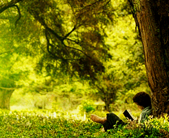 jamessirius:  get to know me meme — [1/5] favorite movies: LoTR The Fellowship