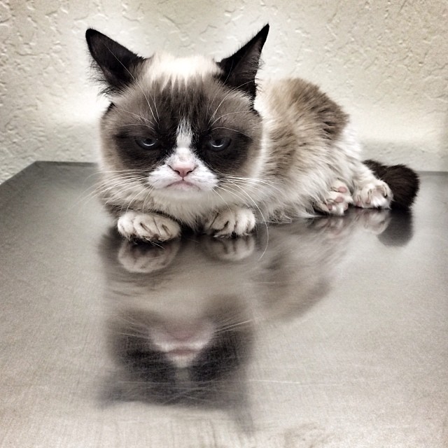 #The Daily Grump | January 23, 2014