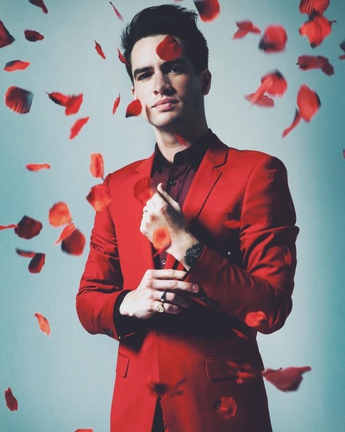 actualbrendonurie:sarahmccolgan: American Beauty vibes with the ridiculously photogenic @brendonurie