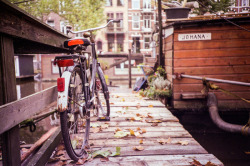 stefanomattia:  Autumn colors in AmsterdamOctober 2013 