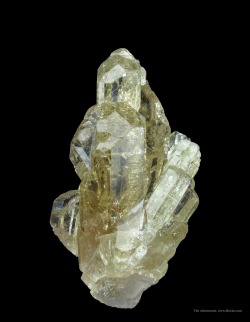 ifuckingloveminerals:  FluorapatiteMedina,