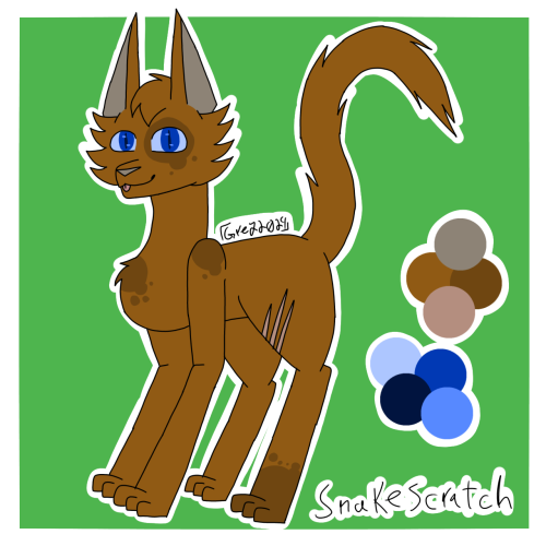 More Warriors OC Revamps!