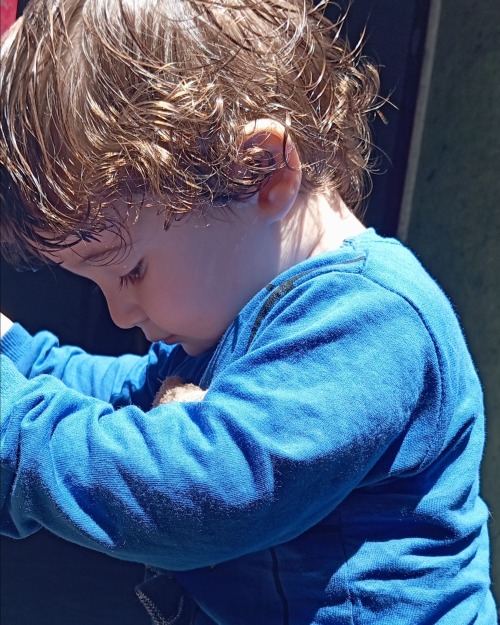 Hello, I'm Kariman Dohan. I Am Writing This Letter To You Feeling A State Of Sadness And Grief, After