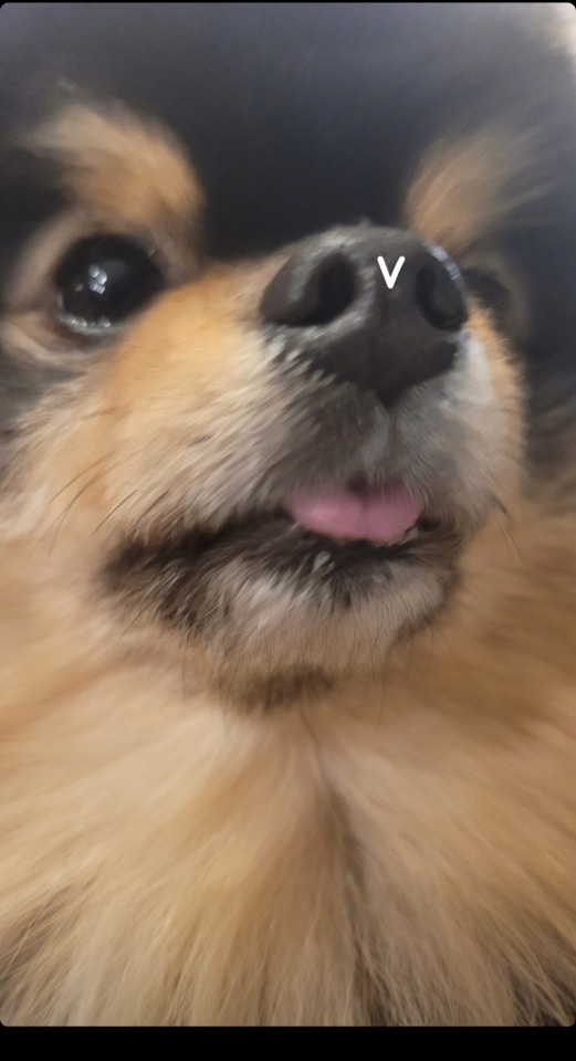 Yeontan