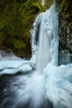 ponderation:  Winter Veil of Mossy Grotto by TjThorne 