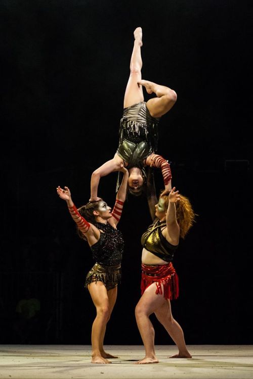 thisisacircusblog:  Some pictures from a few (not all) of our acts last night. Such a fun show! In o
