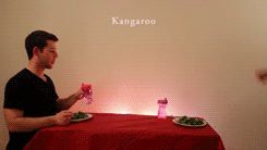 killjoyfortmrw:  unabating-deactivated20190408: How Animals Eat Their Food  The kangaroos my favorit