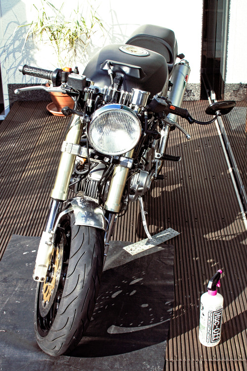 cafe2go: Today was washing day ;) I think she liked it, but she definitly deserved it ! cafe2