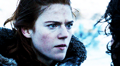 coulbymcgrath:  make me choose | sarahbolgered asked: dany or ygritte 