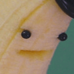 oh my god I’ve been talking to so many people at once between yesterday and today this is so intense