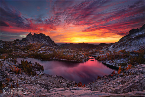 Enchanted Sky Fire (video announcement) by Zack Schnepf on Flickr.