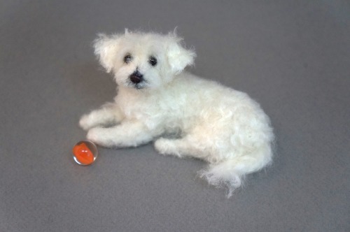 A needle felted Maltipoo I made.  About 4 inches long. 