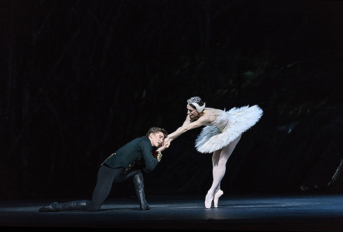 galina-ulanova:Marianela Nuñez and Vadim Muntagirov in Swan Lake (Royal Ballet, 2020)