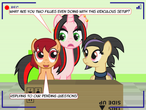 askthecookies:  Sakura: … unplug it, read a question, then plug it again? Baka! Licorice: S-Siiiiiiiigh. 